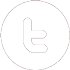 social icon Twitter